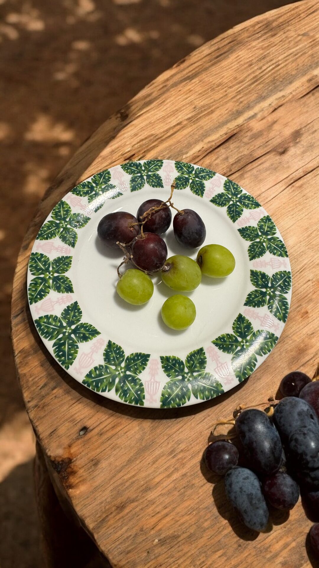 ケーキプレート(モンステラ) - 画像 (12)